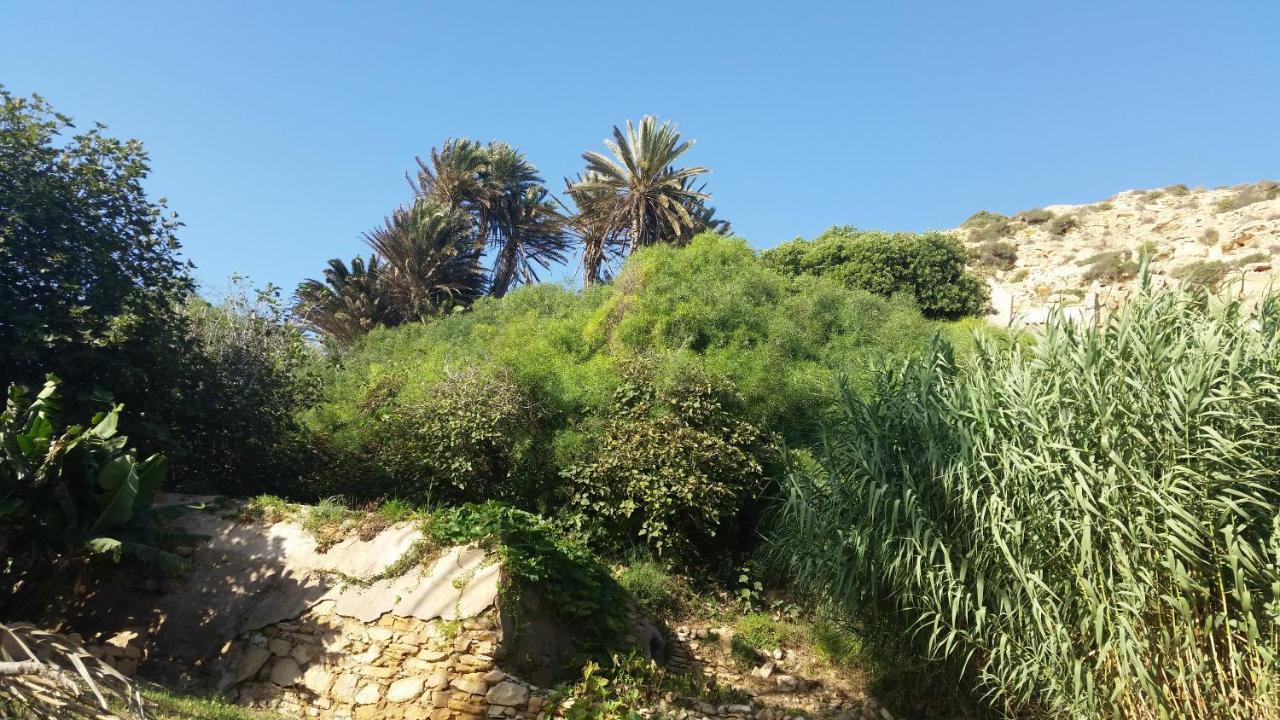Tigmi Blue - Imsouane Surf Et Ocean Bed & Breakfast Eksteriør bilde